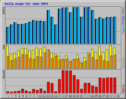 Daily usage for June 2024