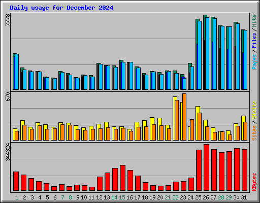 Daily usage for December 2024