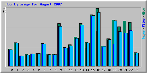 Hourly usage for August 2007