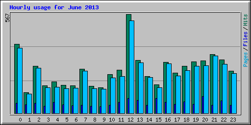 Hourly usage for June 2013