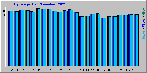 Hourly usage for November 2021