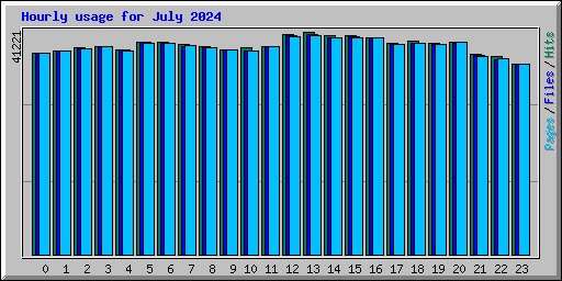 Hourly usage for July 2024