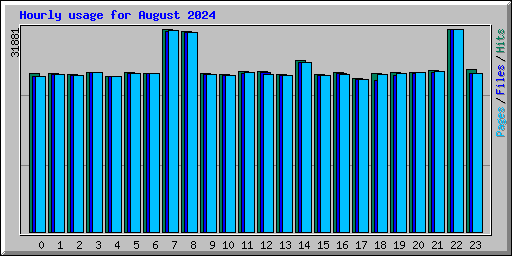 Hourly usage for August 2024