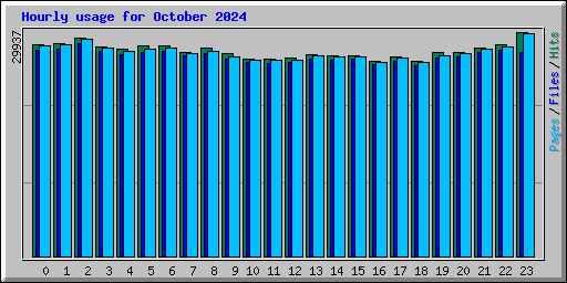 Hourly usage for October 2024