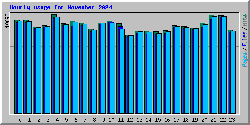 Hourly usage for November 2024