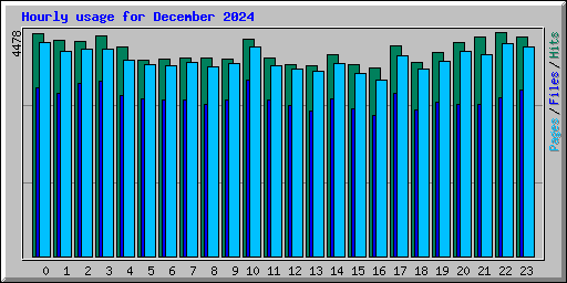 Hourly usage for December 2024