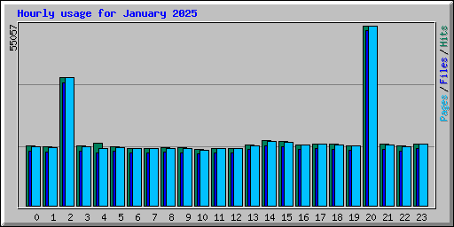 Hourly usage for January 2025