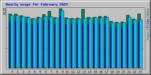 Hourly usage for February 2025