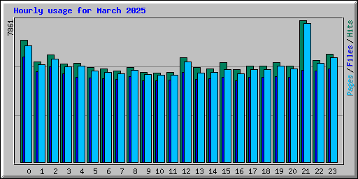 Hourly usage for March 2025