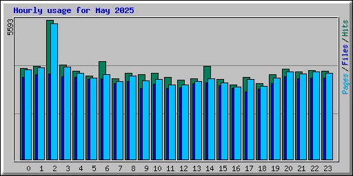 Hourly usage for May 2025