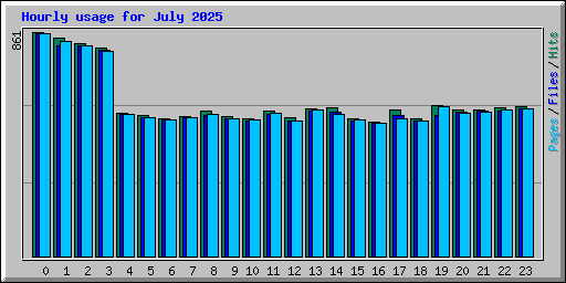 Hourly usage for July 2025