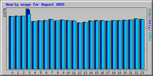 Hourly usage for August 2025