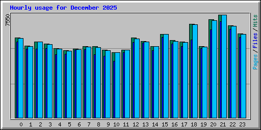 Hourly usage for December 2025