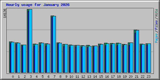 Hourly usage for January 2026