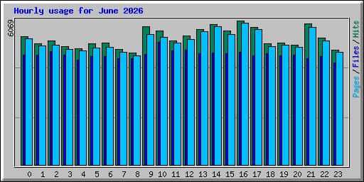 Hourly usage for June 2026