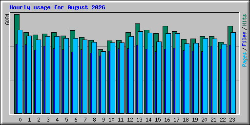 Hourly usage for August 2026